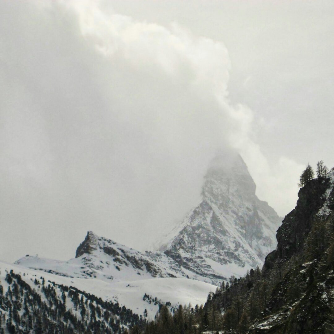 Cervino