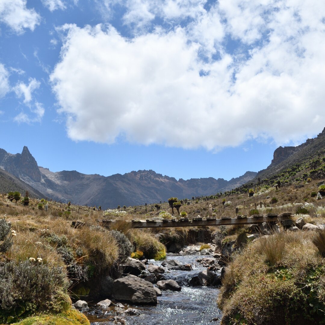 Mount Kenya