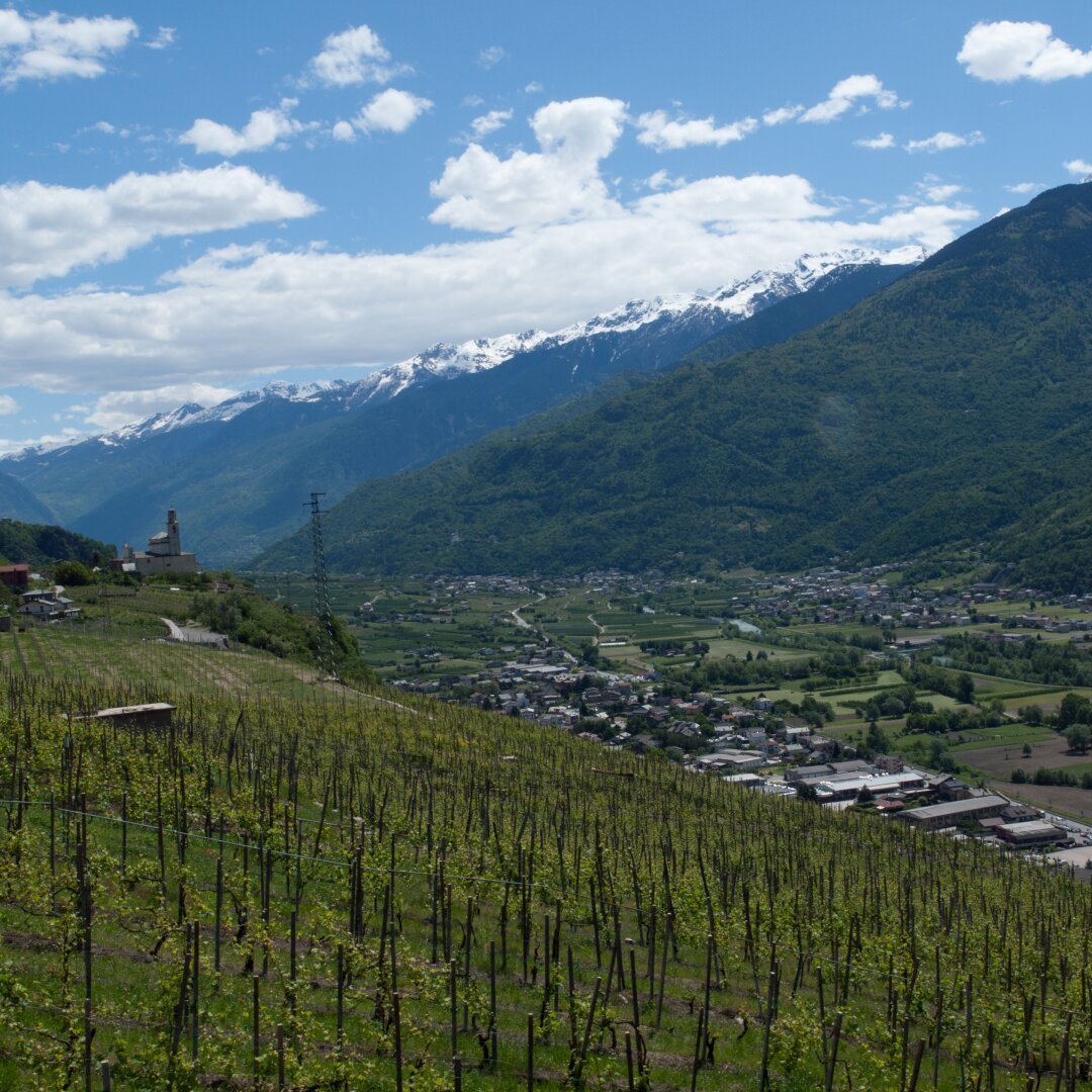 Valtellina