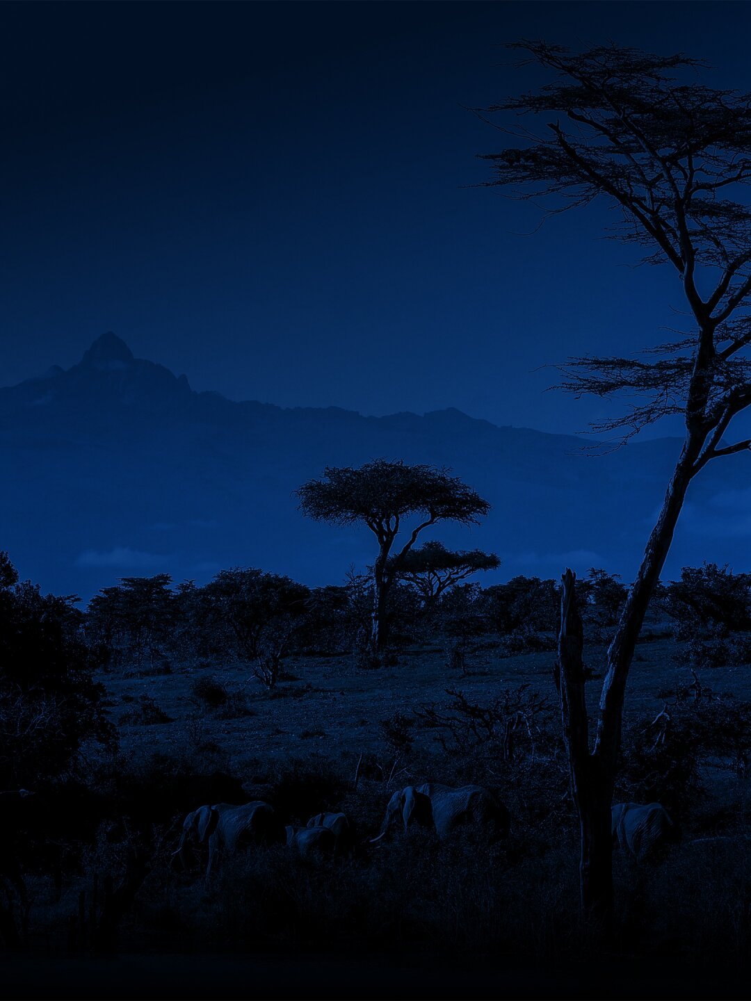MontKenya-Header