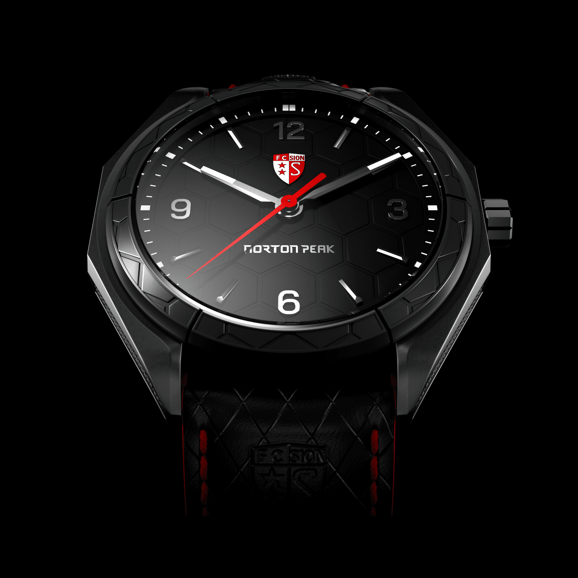 Norton Peak FC Sion 41